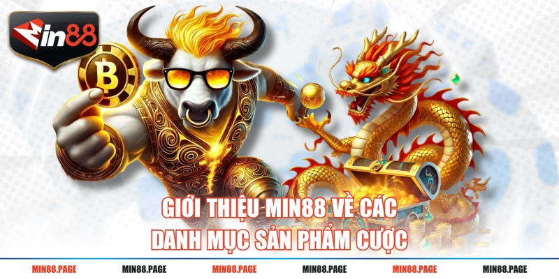 Giới thiệu MIN88 về các danh mục sản phẩm cược